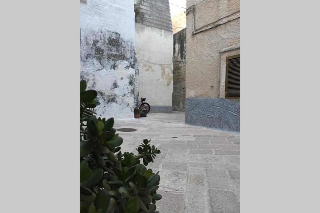 Historic Apartment In Centre Of City 100M To Sea Monopoli Eksteriør bilde